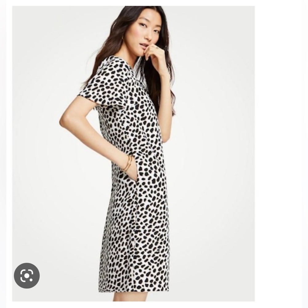 Ann Taylor cheetah print t shirt dress size 6t
